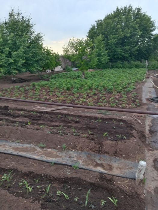 Продам дачу Союз, улица 17, дача 65