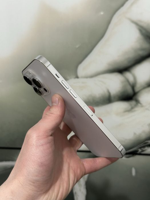 iPhone 14 Pro Max Silver