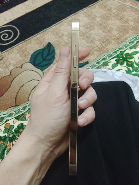 12 pro max в идеале