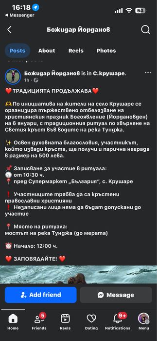 Трицветен Английски сетер