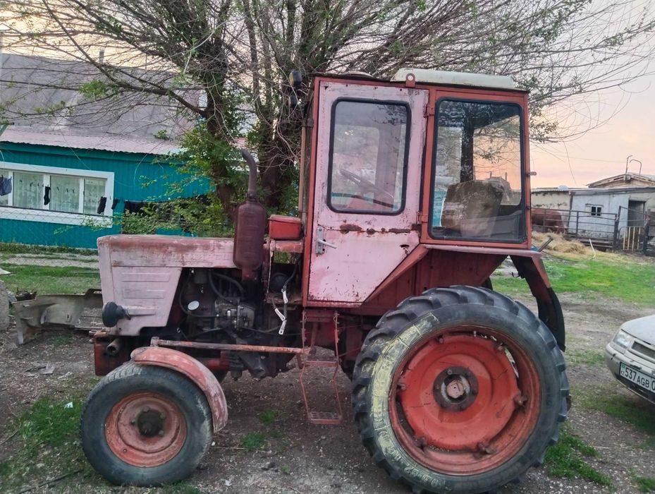 Трактор Т-25 продам
