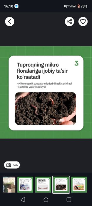 Калифорния чувалчанги калифорнийский червы