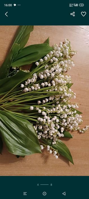 Цветы, букты ландыши