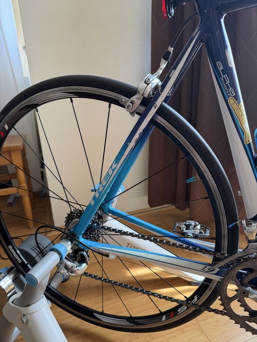 Cursiera Trek Alpha 1.9