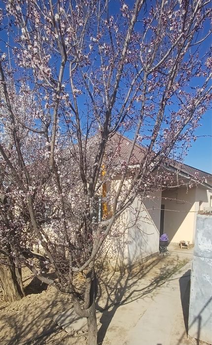 Сдается времянка