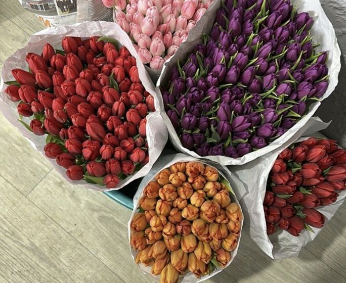 Тюльпаны оптом Астана