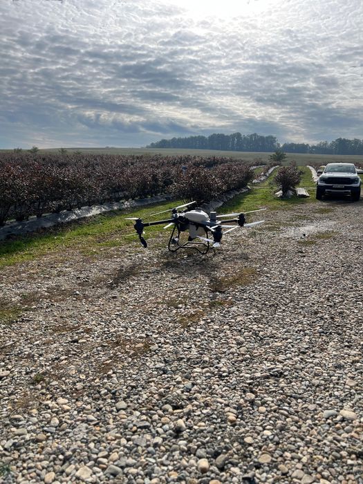 Tratamente fitosanitare cu drona / Prestari servicii Drone agricole