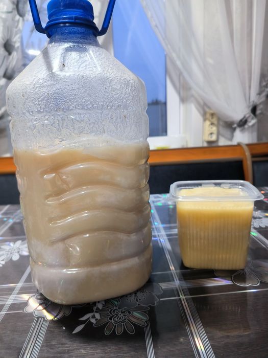 Продам мед натуральный