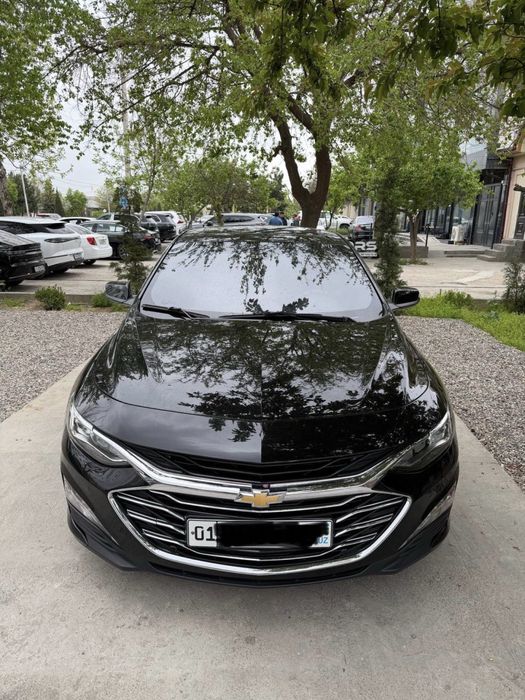 Malibu 2 permier qor rang