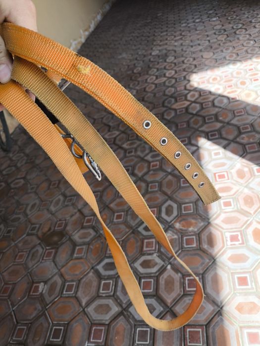 ошейник для собак / bóyinbog kuchukniki / ошейник