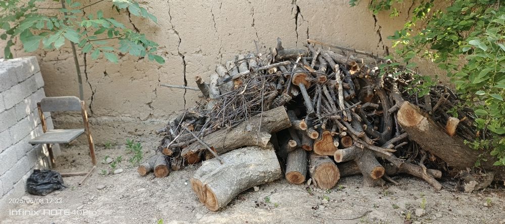 Oʻtin sotiladi tayyor kesilgan