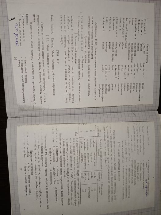 латинский тетрадь с лекциями из колледжа