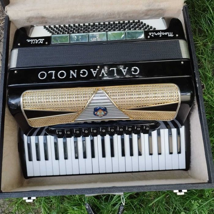 Vīnd acordeon Calvagnolo profesional cassoto 2+2 cu reg la barbă.