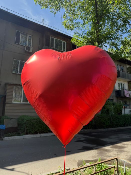 5000 тг г Алматы