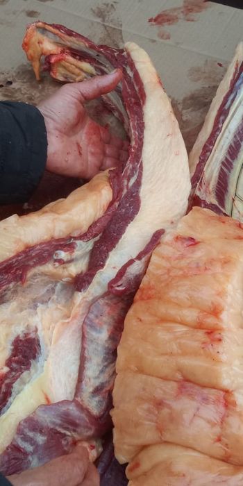 Мясо конина 2. 3г