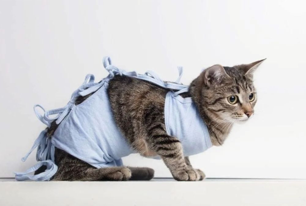 Попона послеоперационная,попоны