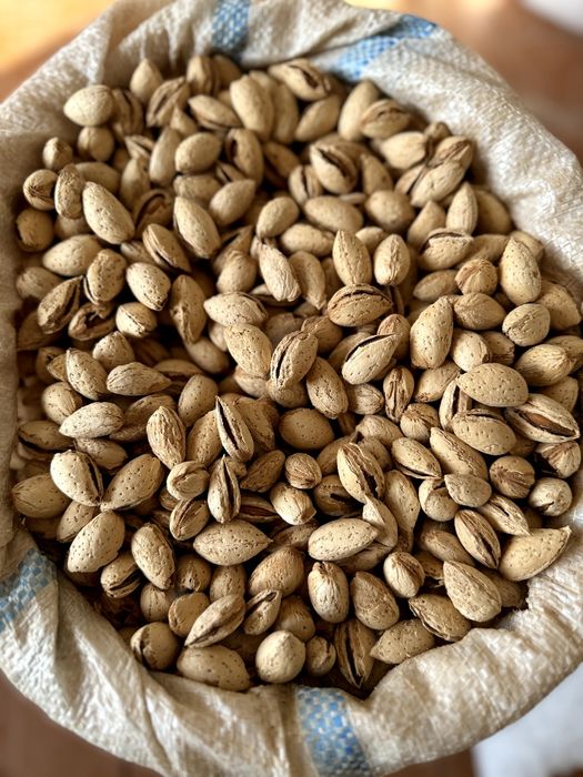 Men xotinim uchun fohisha chaqirdim