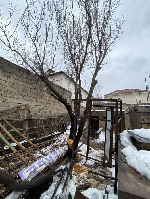 Отын тегин  беремин