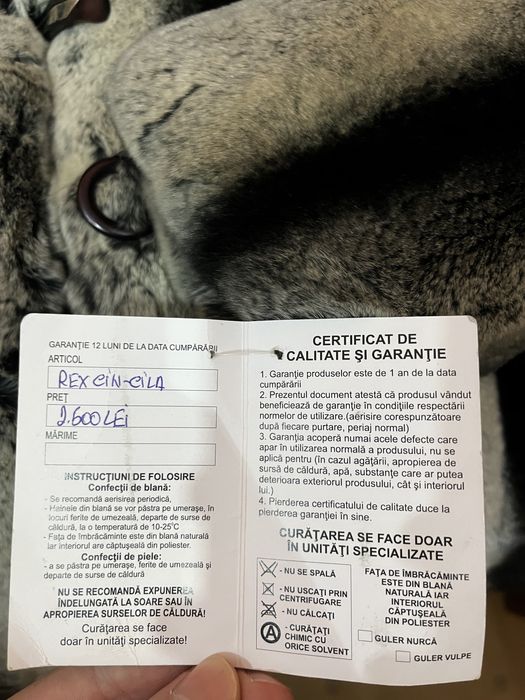 NOU Haina de Blana Chinchilla Rex