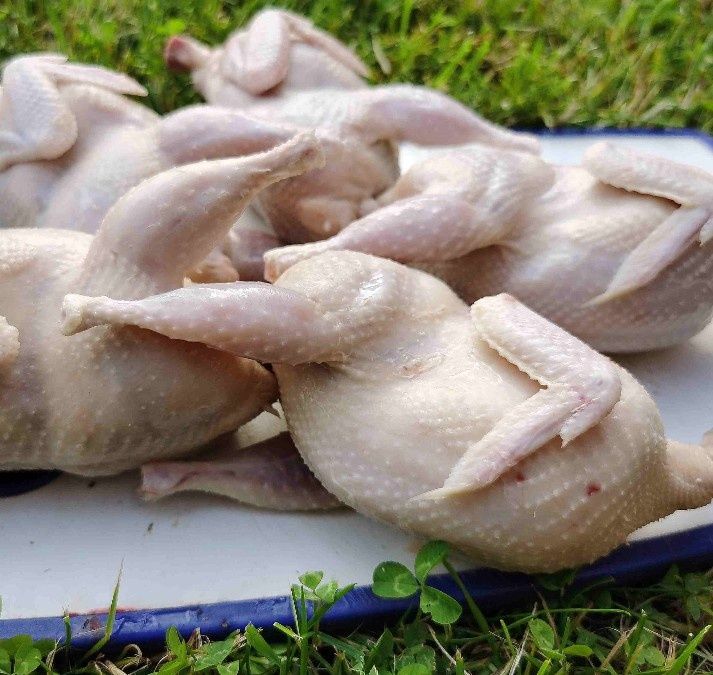 Мясо перепёлки домашнее