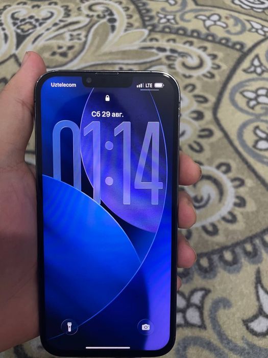 iPhone 13 pro max
