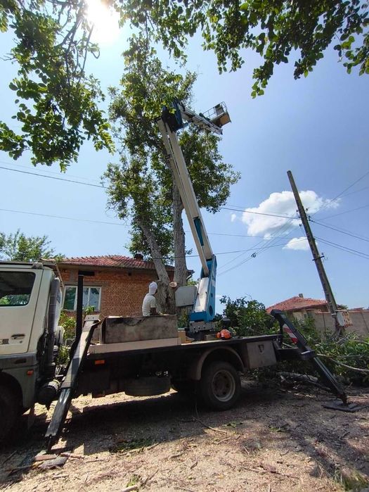 Дървен материал от орех