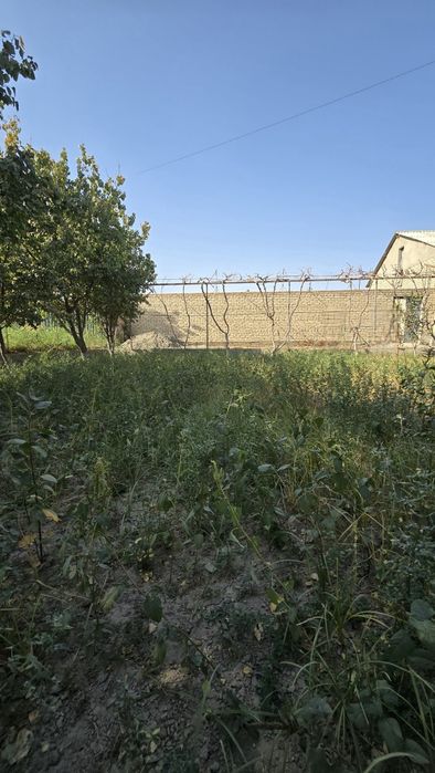 Жондор туман марказидан ер участка сотилади . 7сотик нархи 18000$ кели