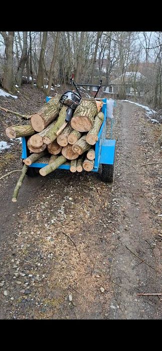 Motocultor 13 cp benzina plus remorca