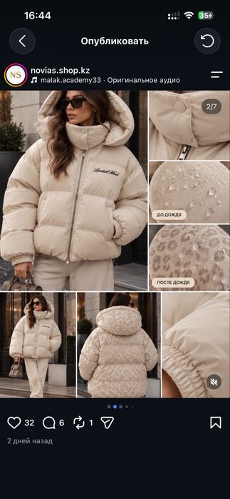 Курика зимняя, новая