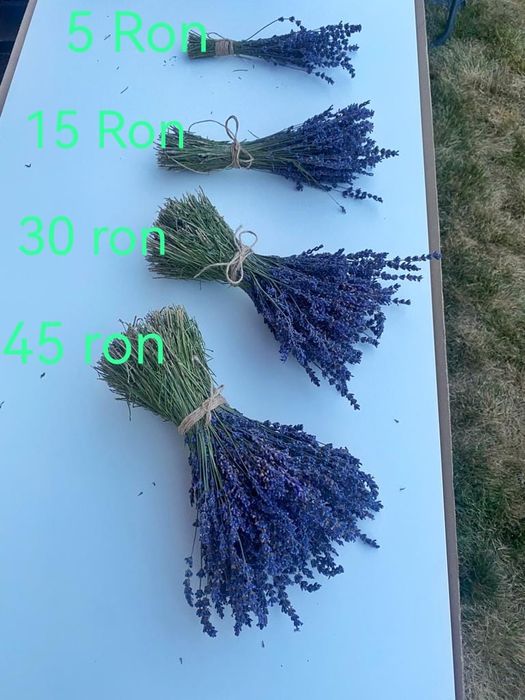 Vand lavanda buchete cu livrare
