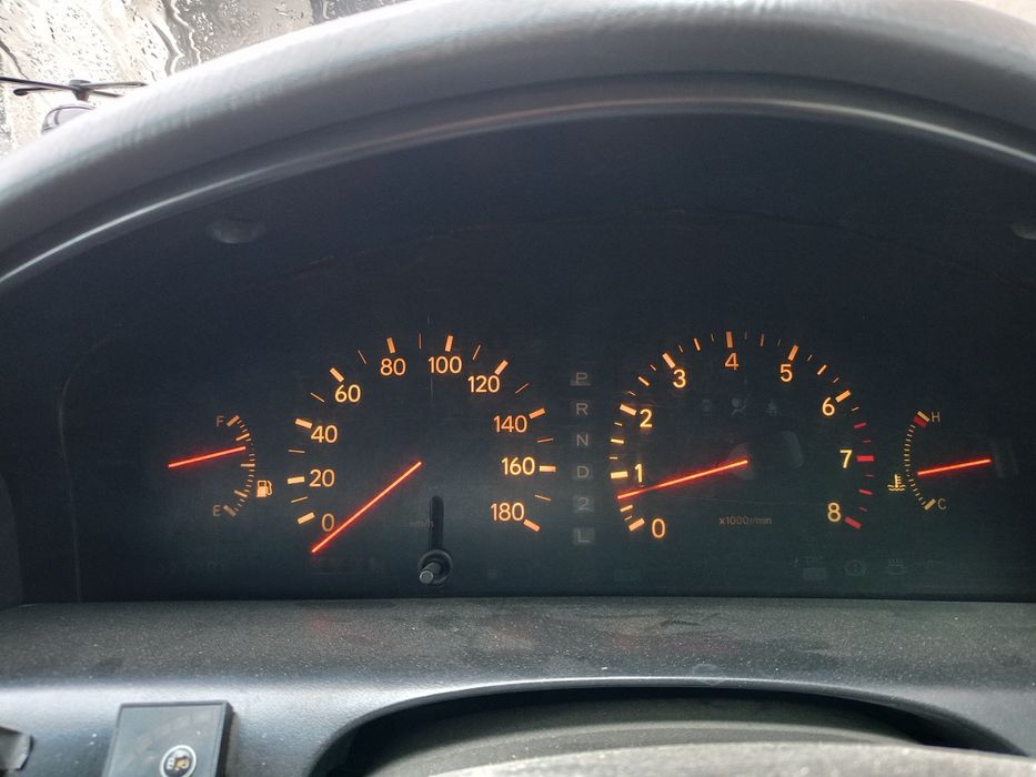 Продам бодрую аристу