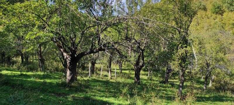 Продават се 3 земеделски имота (поземлени)