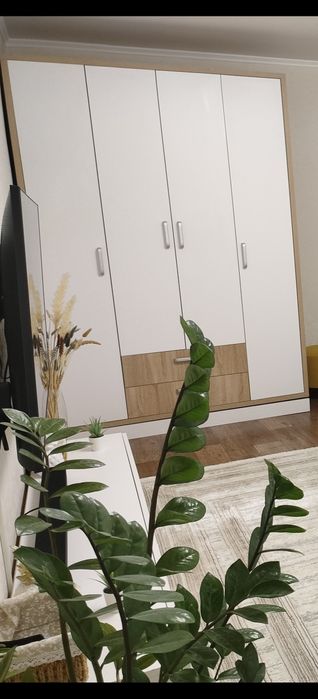 4 белые двери от шкафа бесплатно