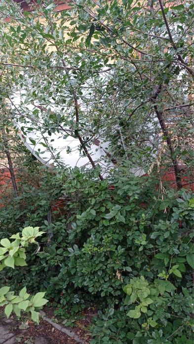 Продам спутниковую антенну б/у  с ресивером. Ц