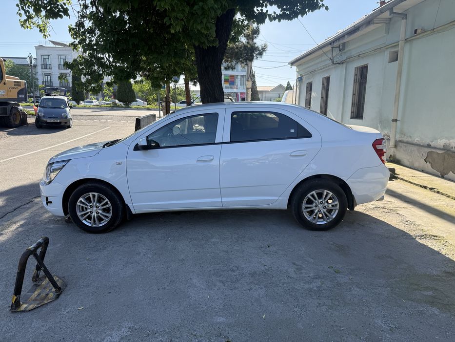 Other Cobalt 2024 — 3