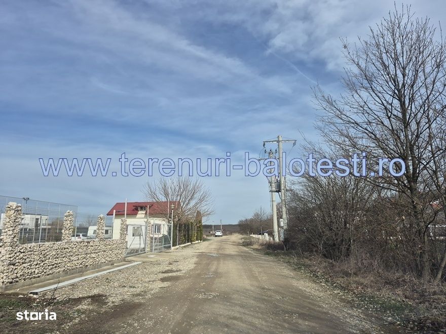 Teren cu gaz si electrica-hotar, 28000 E, padure