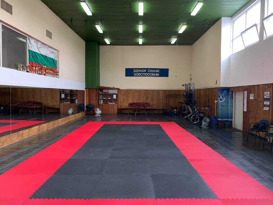 Татами 100х100х2см