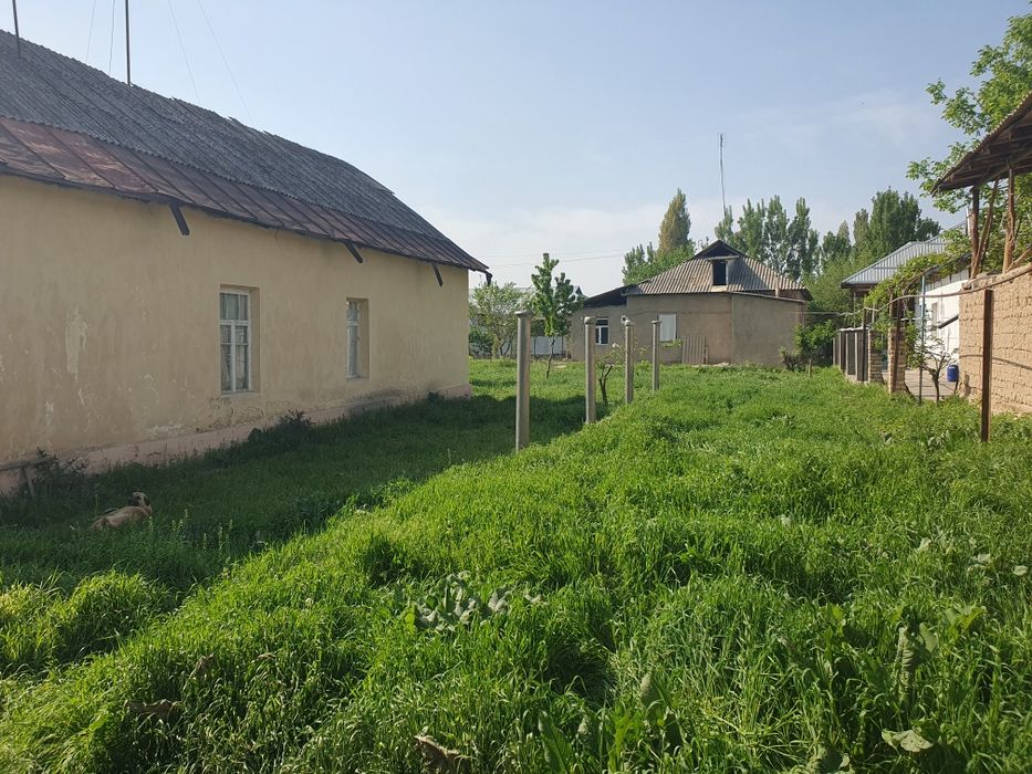 Тошкент вилояти Бустонлик тумани Уй жой