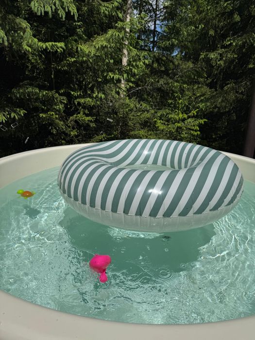 Inchiriez cabana, cu ciubar  Muntele Baisorii,Buscat.