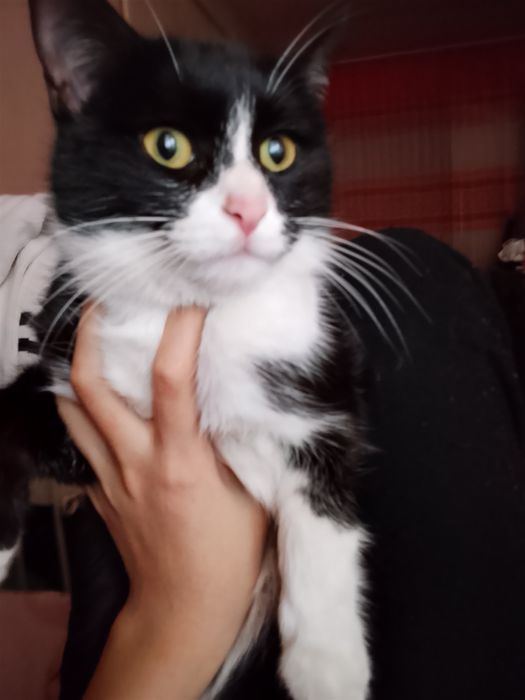 Мушиклар хадияга