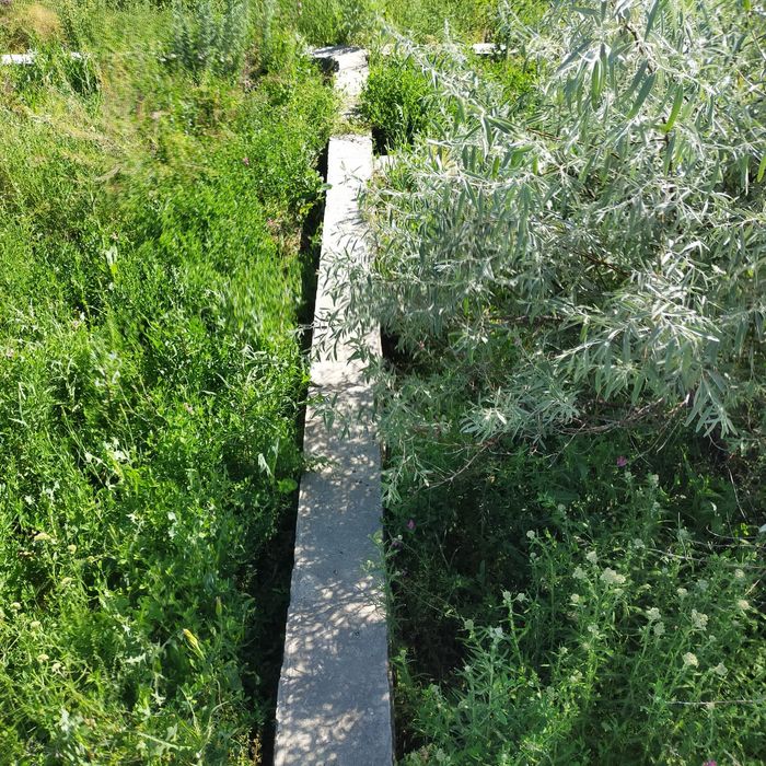 Участок п. Ынтымақ