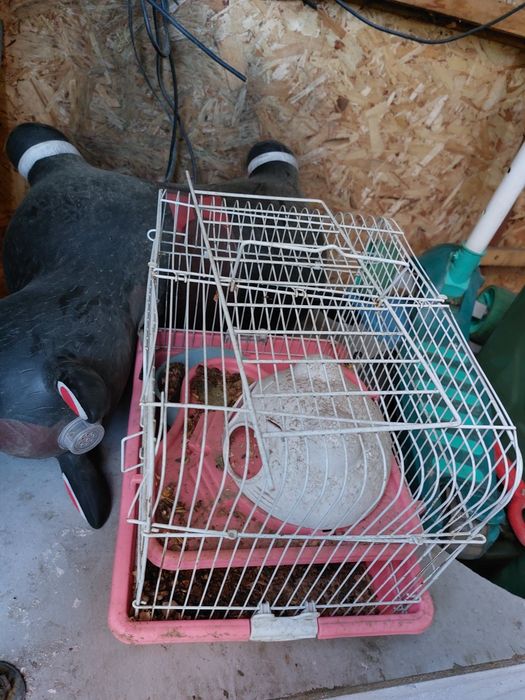 Продам клетки для животных