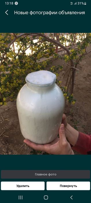 Ешкінің суті  800  тенгеден литрі