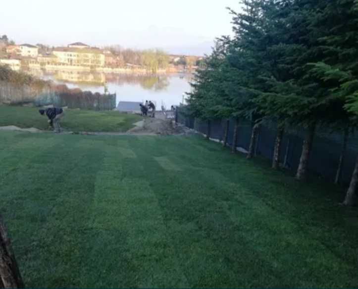 Gazon Natural Aclimatizat – Livrare în Toată Țara și Montaj
