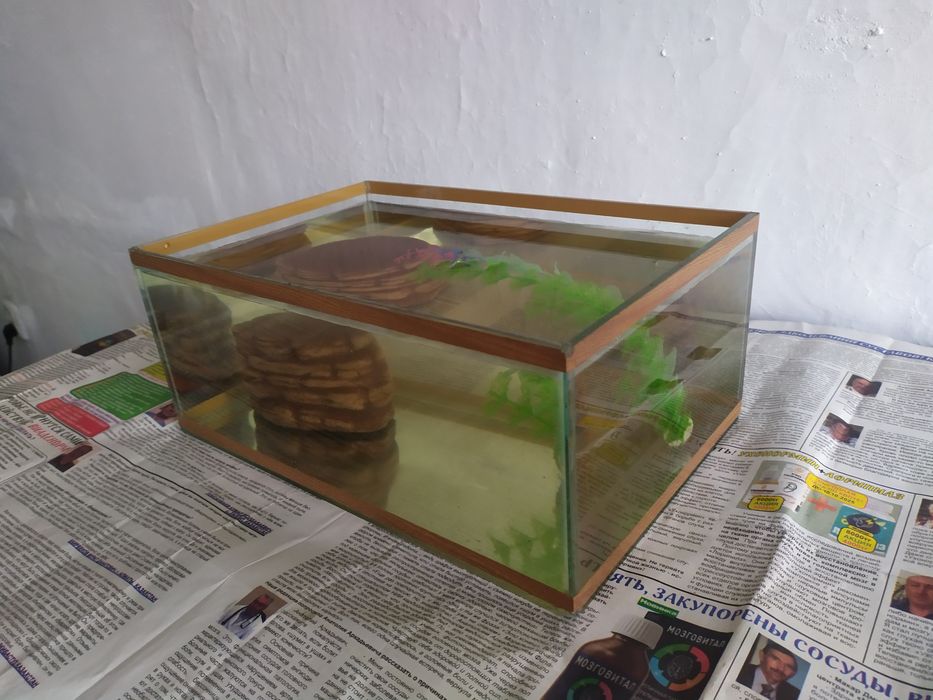 Аквариум для черепах. Бонусы.