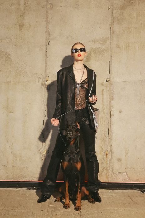 Доберман для фотосессии