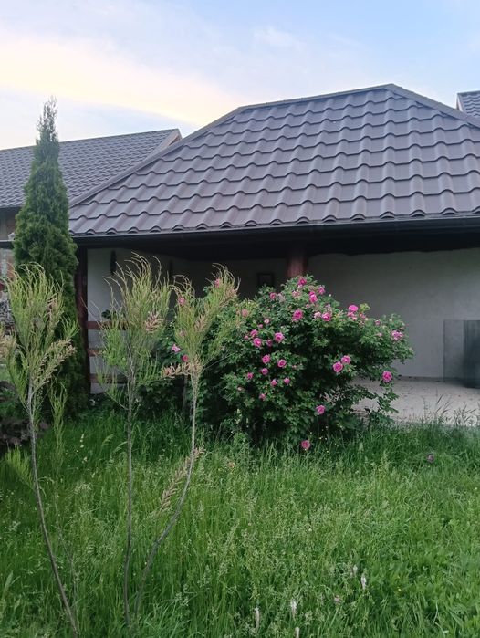 Închiriere duplex Aerodrom Fratauti
