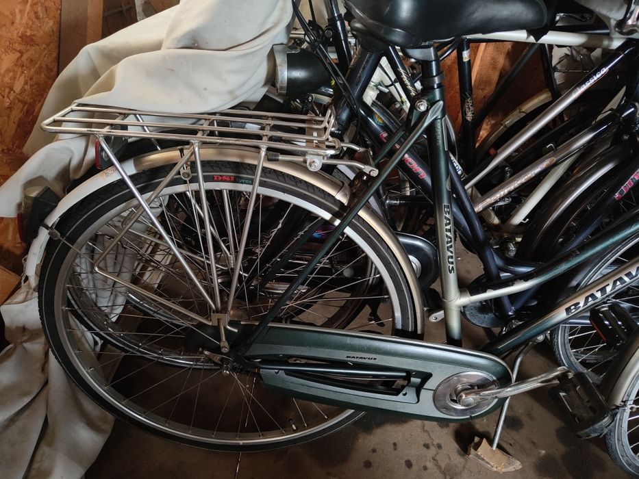 Biciclete olanda italia