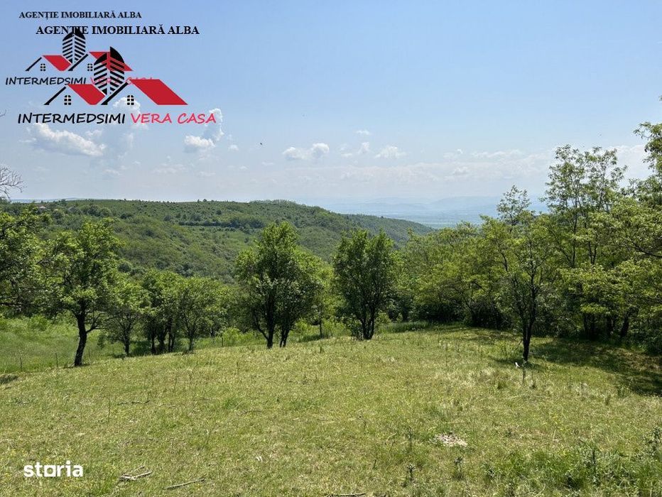 Teren extravilan 28152 mp de vanzare la 7 km de Alba Iulia