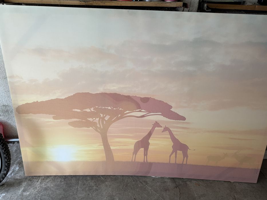 Tablou canvas desert